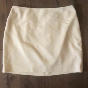 Express skirt
